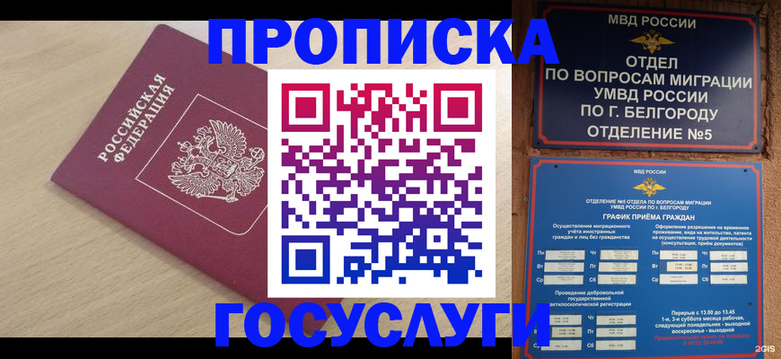 прописка законно в Ершове